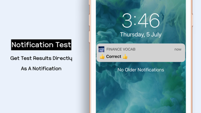 Screenshot #3 pour Finance Vocab