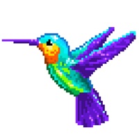 Colibri Number coloring logo