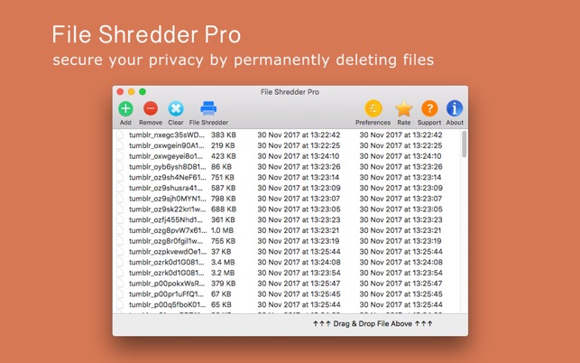 File Shredder Pro on the Mac App Store