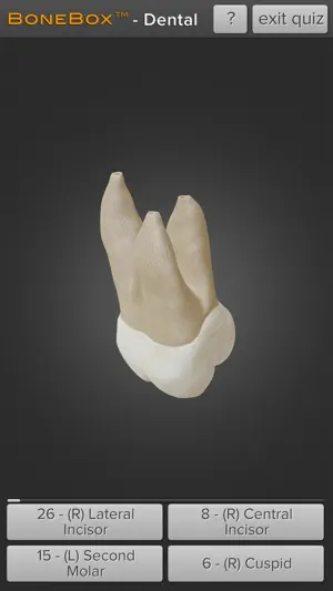 Captura de Pantalla 3 BoneBox™ - Dental Lite iphone