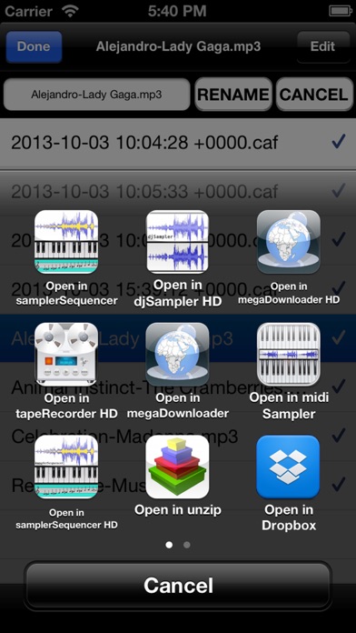 How to cancel & delete tapeRecorder from iphone & ipad 4