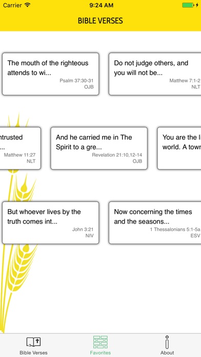 Bible Manna screenshot 3