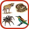 Wildlife Southern Africa App Support