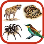 Download Wildlife Southern Africa app