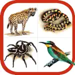 Wildlife Southern Africa App Problems