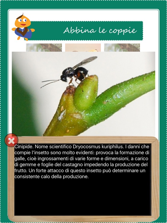 Lady Castagna screenshot-4