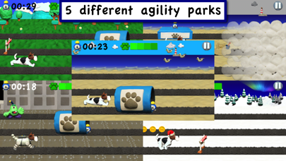 Agility Dogs screenshot 3
