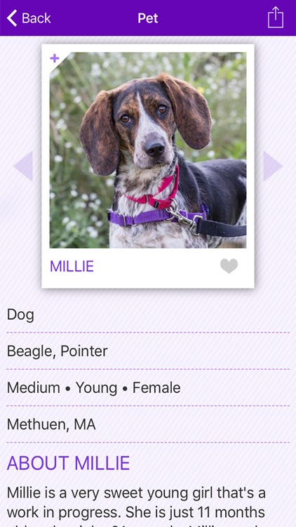 Petfinder Mobile