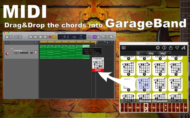 Bass Chords Compass(圖3)-速報App