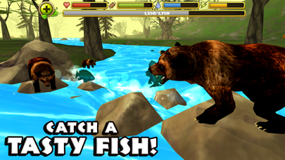 Screenshot #2 pour Wildlife Simulator: Bear