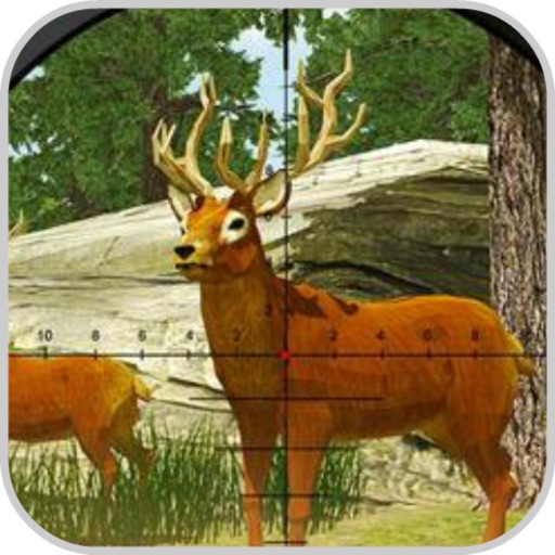 Challege Hunting Safari Deer 3 iOS App