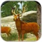Challege Hunting Safari Deer 3D is one of the animal games in which you will experience the real hunting of wild animals, deer hunting
