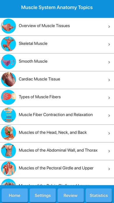 Muscle System Anatomy screenshot 3