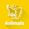 Smarttcard Animals 3D