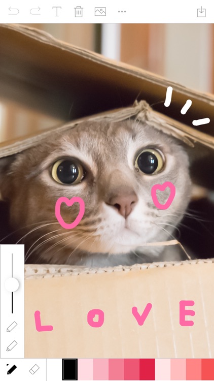 Finger Draw on Photo