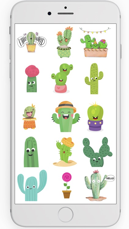Cactus Shy : Cactushy & cia