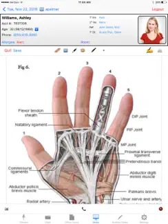 Exscribe Mobile EHR iPad image 4