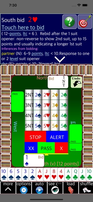 BJ Bridge Pro