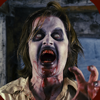 Experiment Z: Zombie Survival - App Holdings