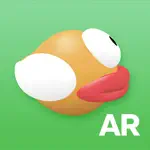 AR Flappy App Contact