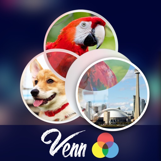 Venn: Jigsaw Puzzle Icon