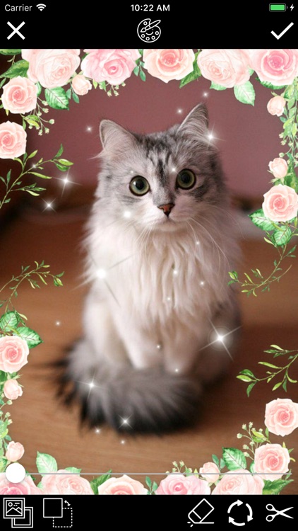 Photo Awsome - Editor, Collage