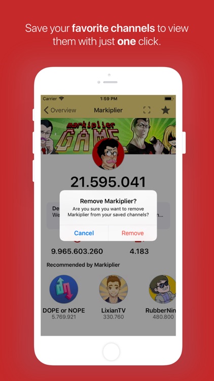 Realtime Subscriber Counter screenshot-5