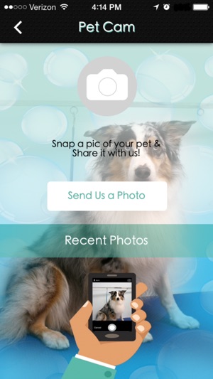 Palm Coast Pet Spa(圖4)-速報App