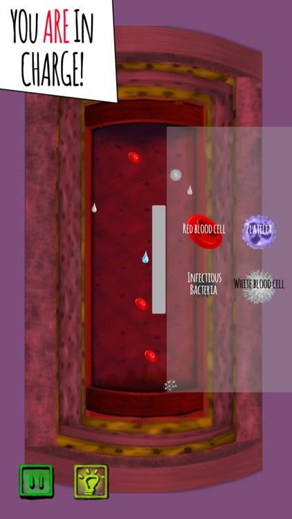 Inside The Human Body PREMIUM screenshot-6