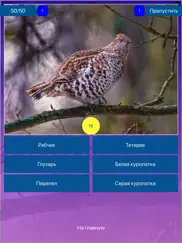 Птицы - Викторина айпад изображения 3