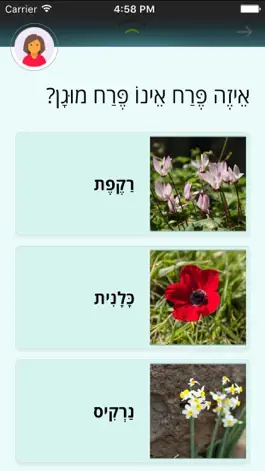 Game screenshot סל
