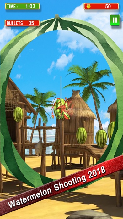 Watermelon Shooting Sim 2018 screenshot 1