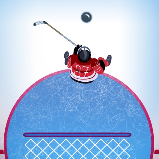 Hockey Goal Stopper PRO