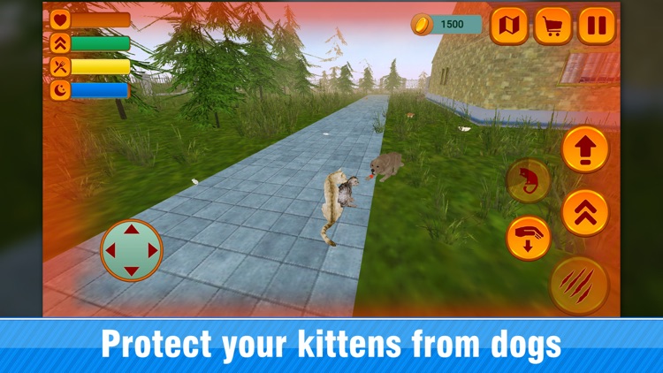 Home Pet - Cat Life Simulator