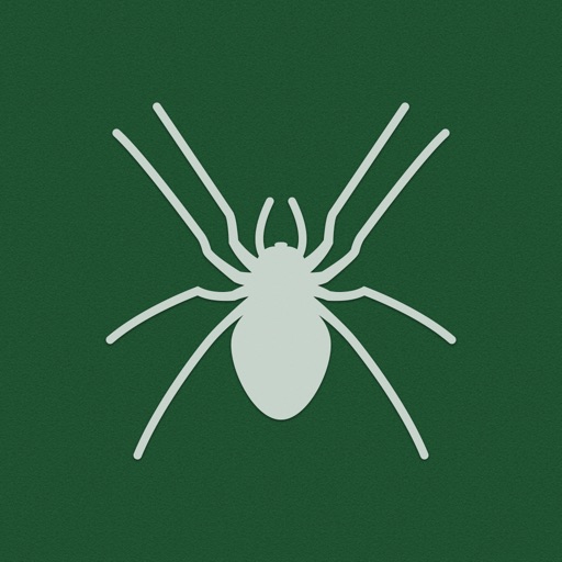 Solitaire / Spider