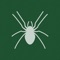 This is my best Solitaire / Spider Game