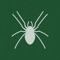 Solitaire / Spider