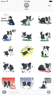 cute border collie dog sticker iphone screenshot 1
