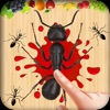 Ant Smasher game : 2018 games - iPadアプリ