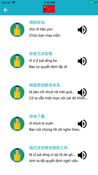 Chinese - Vietnamese:Language screenshot 4
