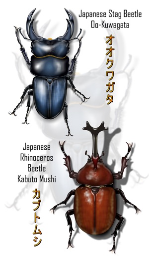Japanese Cult Beetles(圖1)-速報App