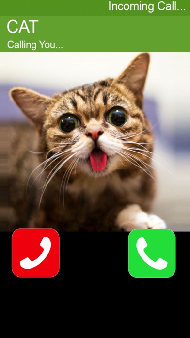 Call Cat 2 screenshot 3