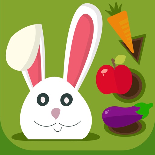 Shapes & Colors Learning Game Icon