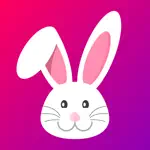 Animated Happy Easter Stickers App Contact