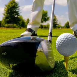 Golf - Driving And Long Irons