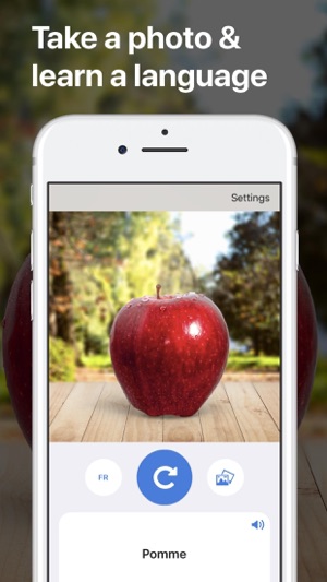 Piclingo: Language learning(圖2)-速報App