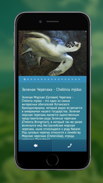 Крокодилляриум Ялта screenshot-3