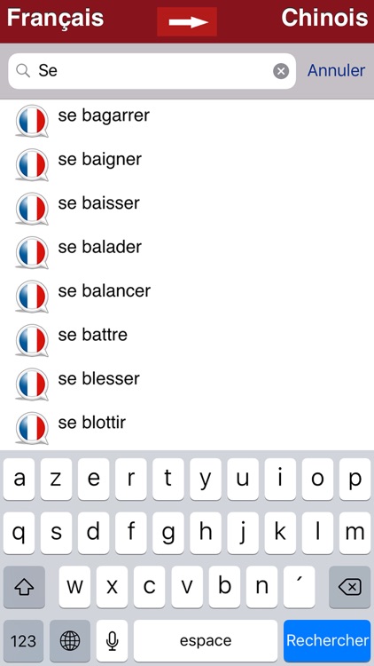 Dictionnaire Chinois-Français screenshot-3