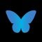 butterfly is a social network for creatives