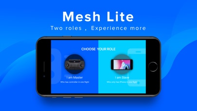 Mesh Lite - DJI Drone Copilot screenshot 2